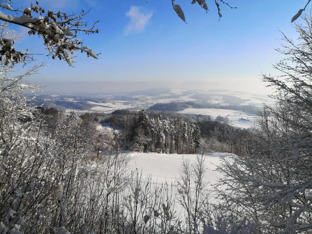 Loft Ueber Dem Bodensee Heiligenborn Eksteriør billede